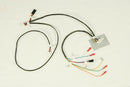 Travis - WIRE HARN GS REMOTE C - 250-01461