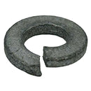 Grasshopper Parts - WASHER   LOCK - 257392F