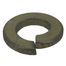 Grasshopper - WASHER   LOCK - 257402