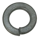 Grasshopper - WASHER   LOCK - 257452