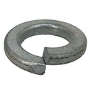Grasshopper - WASHER   LOCK - 257452