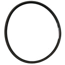 Grasshopper Parts - BELT   VAC - 382754