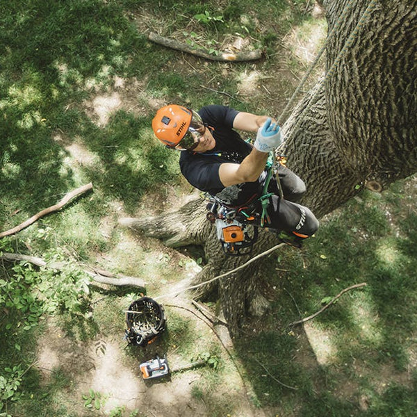 STIHL® MS 194 T – 14in Top‑Handle Chainsaw | 31.8cc STIHL® Gas Engine