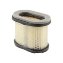 Briggs & Stratton - AIR FILTER 4 X 697029 - 4207