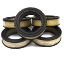 Briggs & Stratton - AC FILTER 5 X 692519 - 4232