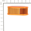 Briggs & Stratton - AC FILTER 5 X 79506 - 4240