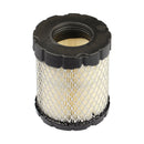 Briggs & Stratton - AC FILTER 5 X 798897 - 4250