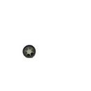Avant Parts - FASTENER PUSH ON STARLOCK F8MM - 75081