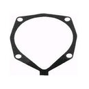 Snapper - GASKET V21 - 7011774YP