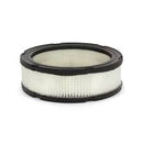 Briggs & Stratton - AC FILTER 4 X 39401 - 4135