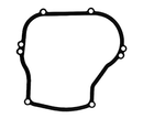 Briggs & Stratton - GASKET CRKCSE015 - 270069
