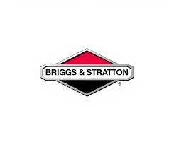 Briggs & Stratton - Terminal - 94080