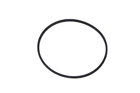 Tecumseh - O RING   - 788024 (Closeout)