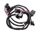 Western - VEHICLE LIGHTING HARN - 69886-1