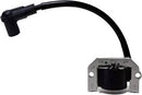 Kawasaki - COIL ASSY IGNITION - 21171-7034