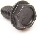 Briggs & Stratton - SCREW - 697725