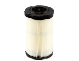 Briggs & Stratton - FILTER AC CARTRIDGE - 84012892