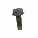 Briggs & Stratton - SCREW - 699776