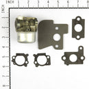 Briggs & Stratton - CARBURETOR - 790120